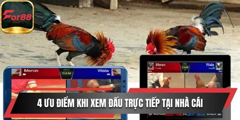 4 ưu điểm khi xem đấu trực tiếp tại nhà cái