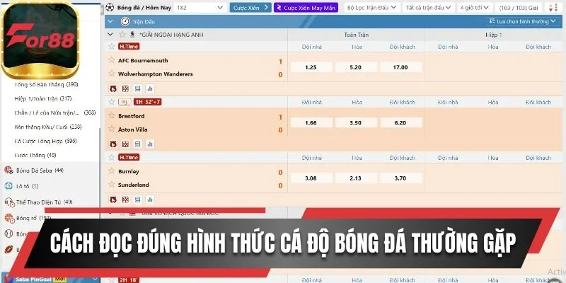 Cách đọc đúng các hình thức cá độ bóng đá thường gặp