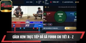 cách xem trực tiếp đá gà For88