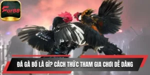 Đá Gà Bồ Là Gì