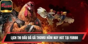 Lịch Thi Đấu Đá Gà Thomo Hôm Nay