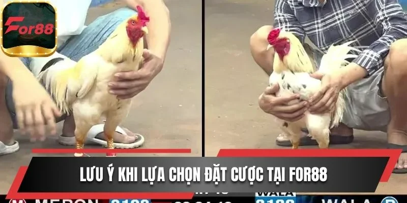 Lưu ý khi lựa chọn đặt cược tại For88