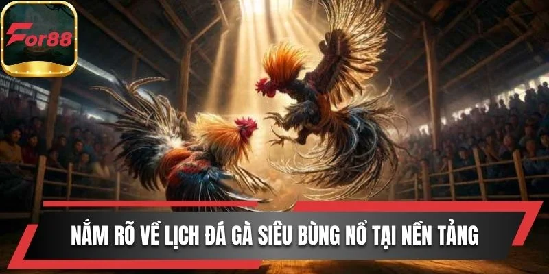 Nắm rõ về lịch đá gà siêu bùng nổ tại nền tảng