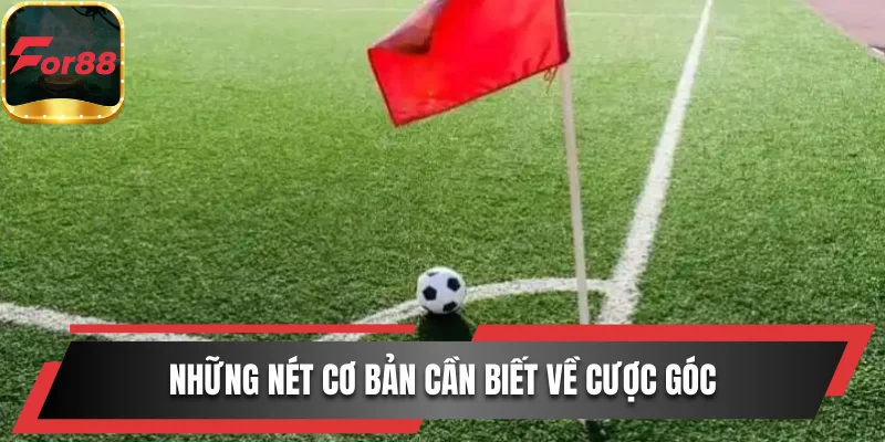 Những nét cơ bản cần biết về cược góc