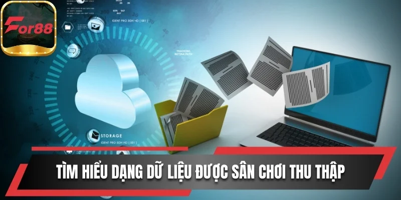 Tìm hiểu dạng dữ liệu được sân chơi thu thập