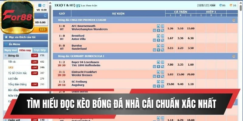 Tìm hiểu cách đọc kèo bóng đá nhà cái chuẩn xác nhất