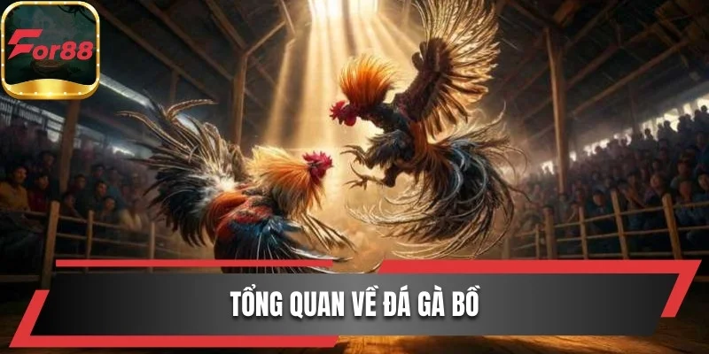 Tổng quan về đá gà bồ