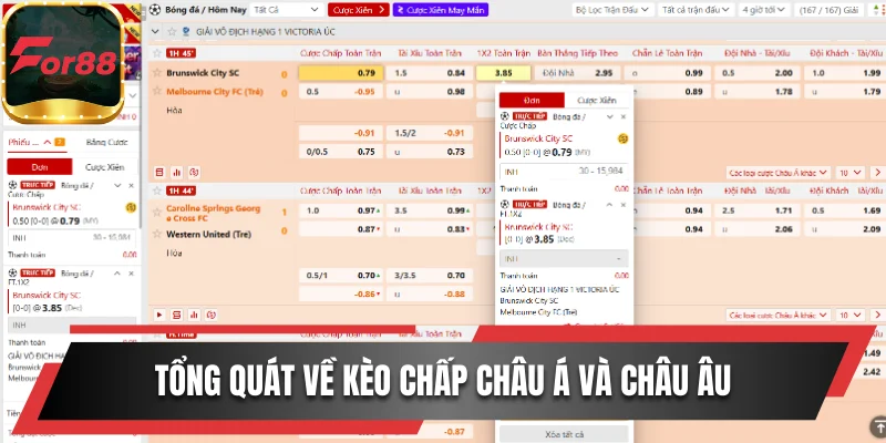 Tìm Hiểu Về Kèo Chấp Châu Á Và Châu Âu Chính Xác Nhất 1 Tổng quát về kèo chấp châu Á và châu Âu